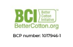 Logo_BCI